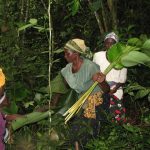 Local People in Bwindi