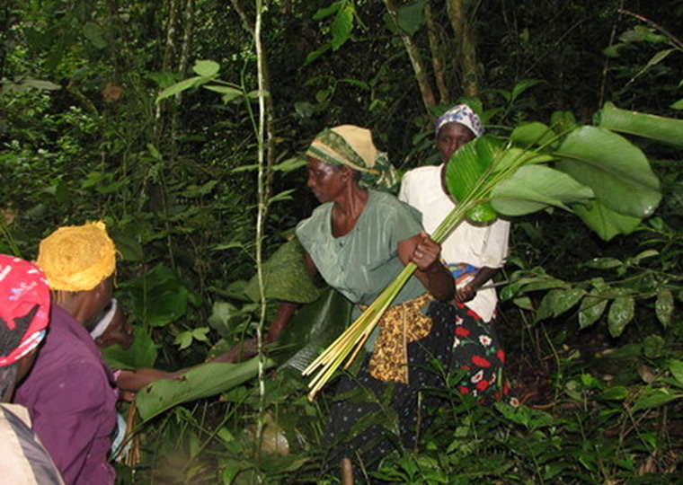 Local People in Bwindi