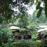 Bwindi View Lodge