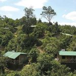 Gorilla Hills Ecolodge