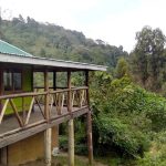 Bwindi Panorama Resort