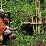 Batwa Experience